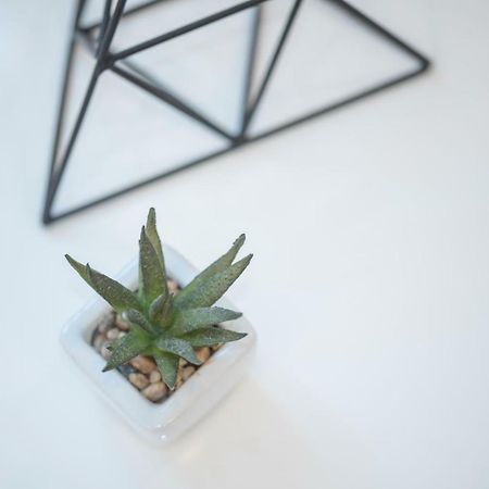 "D&M" Studio Apartments Zagreb Eksteriør billede
